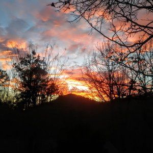 Meet your Posher, Karla